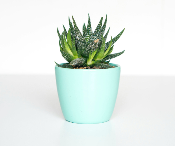 Fiberglass Planter Manufacturers in India